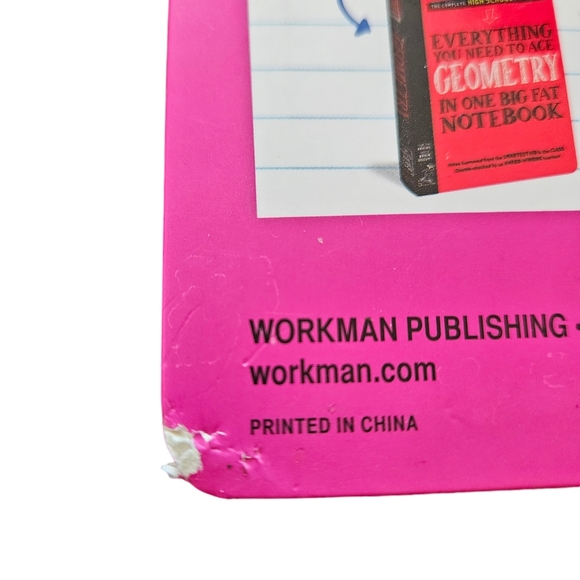 Everything You Need to Ace Pre-Algebra and Algebra 1 in One Big Fat Notebook - Picture 3 of 4